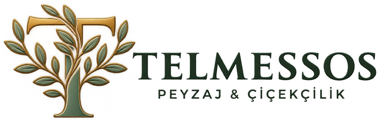 Fethiye Telmessos Peyzaj Mimarlığı ve Bahçe Tasarımı